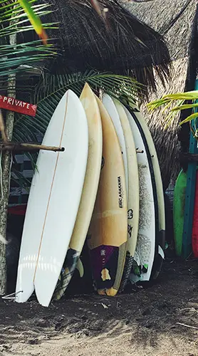 raja surf school